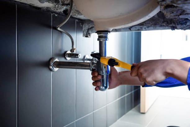 Best Green Plumbing Solutions and Water Conservation  in Zapata, TX